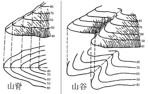 山脊是什麼|山脊 的意思、解釋、用法、例句